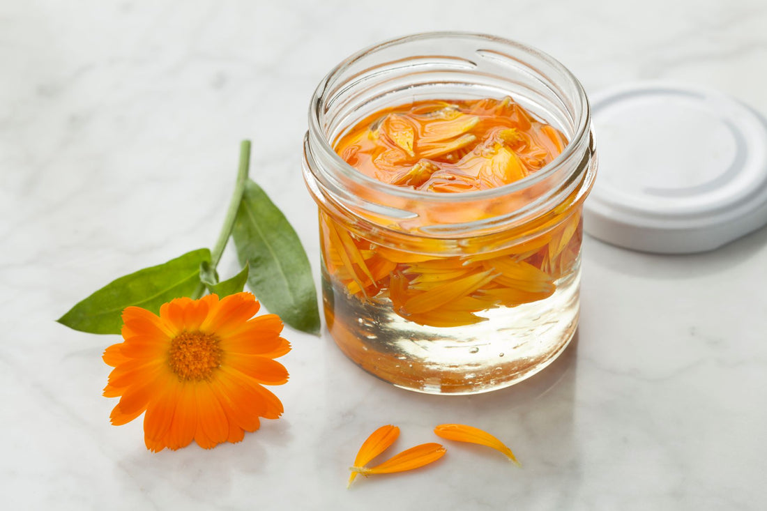 A calendula flower alongside a jar of calendula oil against a marble surface.