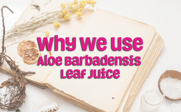 Why We Use Aloe Barbadensis Leaf Juice
