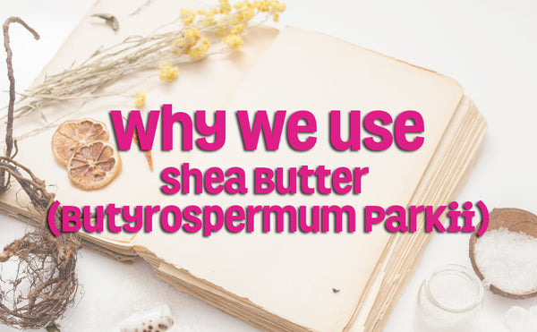 Why We Use Shea Butter (Butyrospermum Parkii)