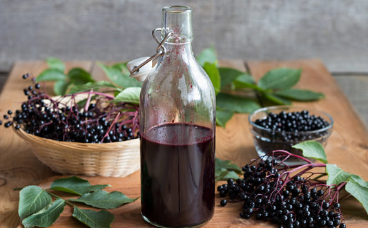 Benefits of Elderberry For Kids