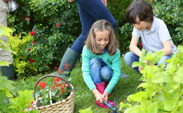 5 Reasons Why You Should Garden With Your Kids