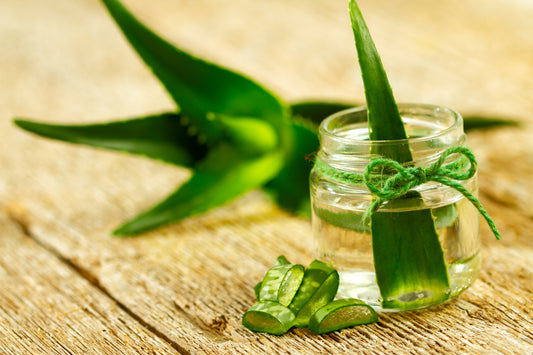 Is Aloe Vera Good for Babies?