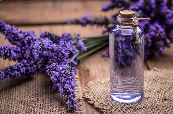 Lavender flowers and a bottle of lavender oil.